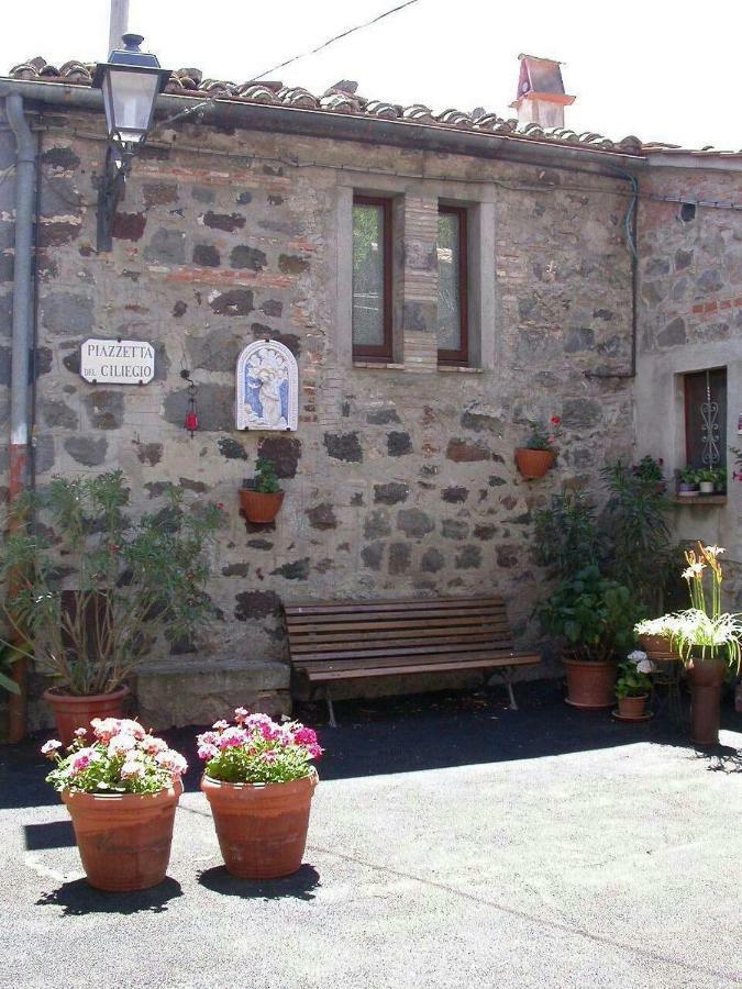 Casa Del Ciliegio Villa Radicofani Luaran gambar